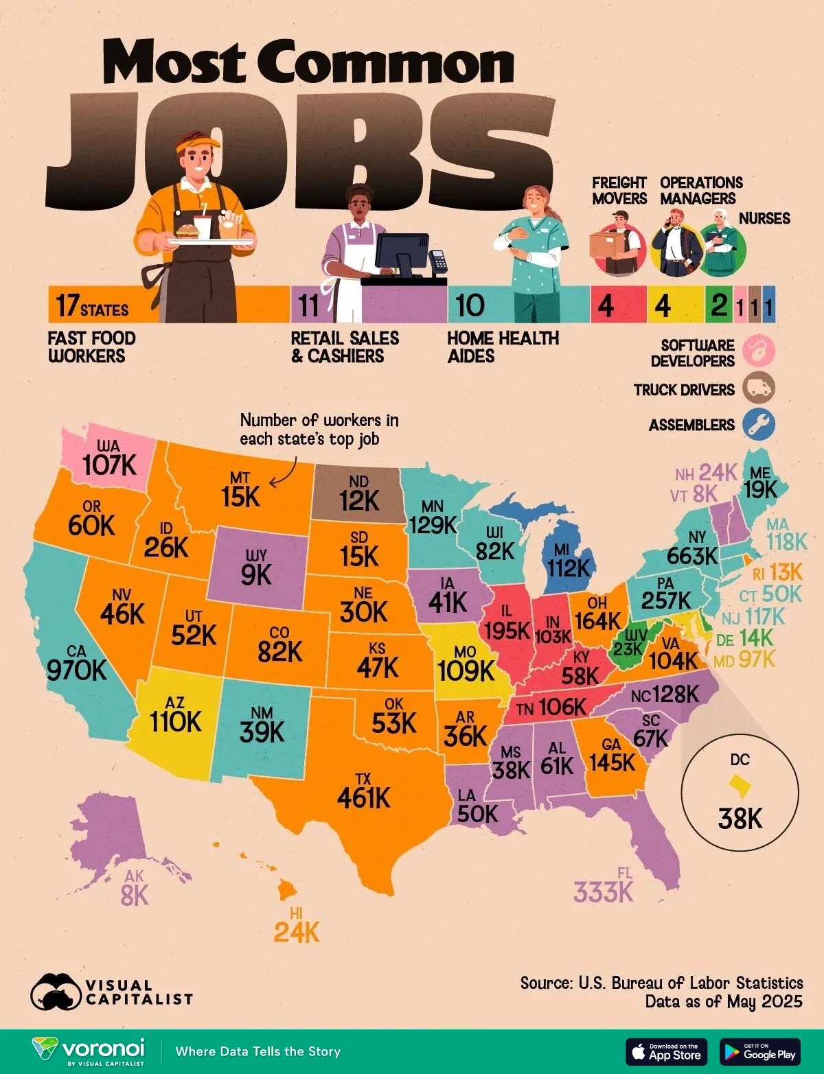 Map of the most common occupation in each U.S. state, May 2025. Fast food workers lead in 17 states, retail sales and cashiers in 11, home health aides in 10, software developers only in Washington. Source: U.S. Bureau of Labor Statistics, visualization by Visual Capitalist.