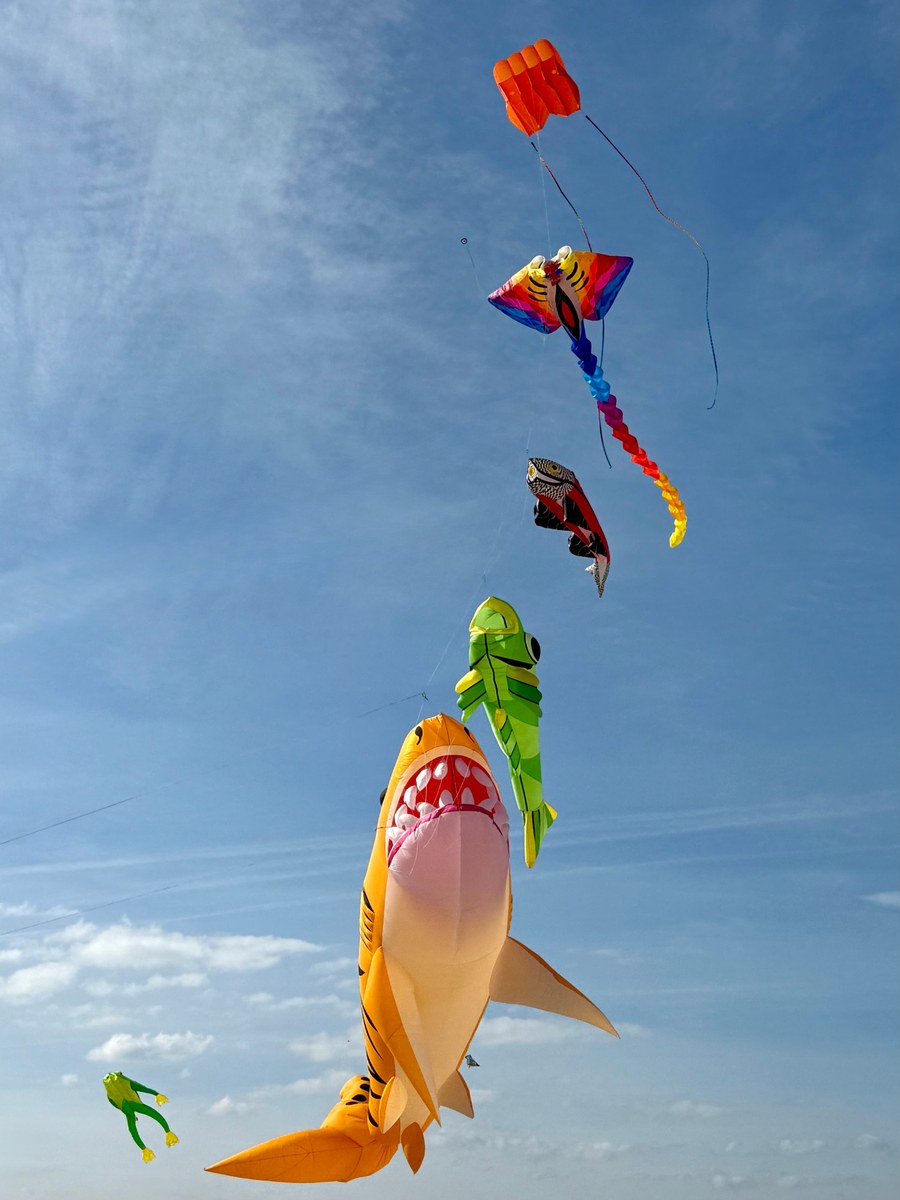Kites