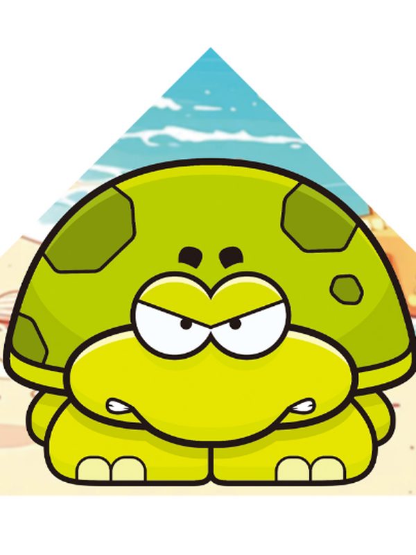 Sea Turtle