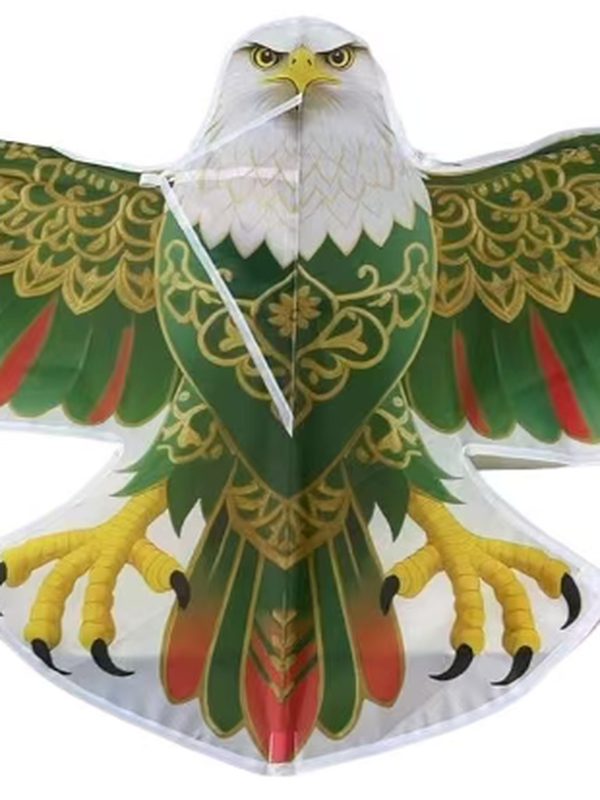 White-head Eagle