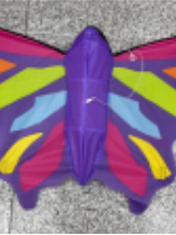 3D Butterfly