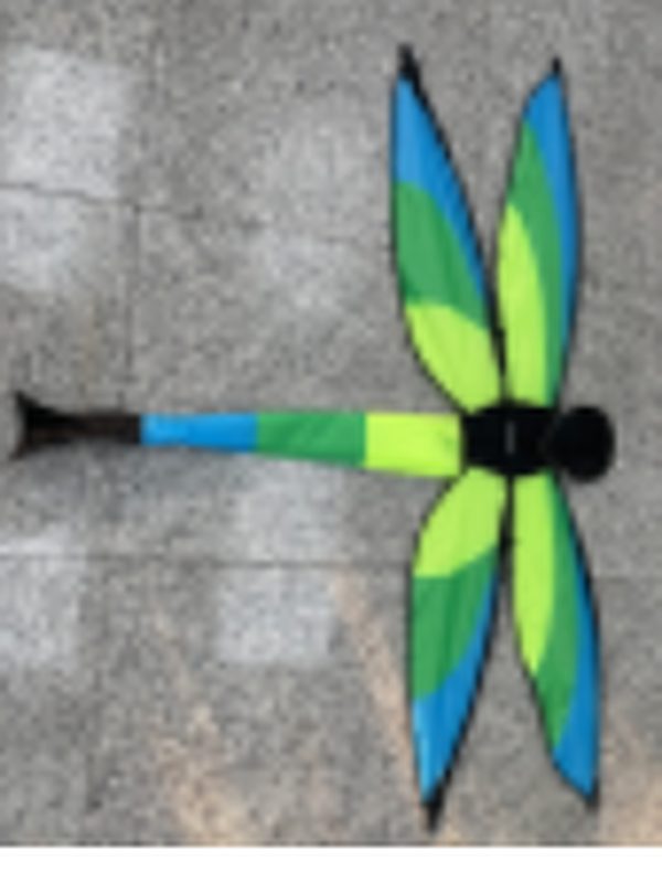 3D Dragonfly