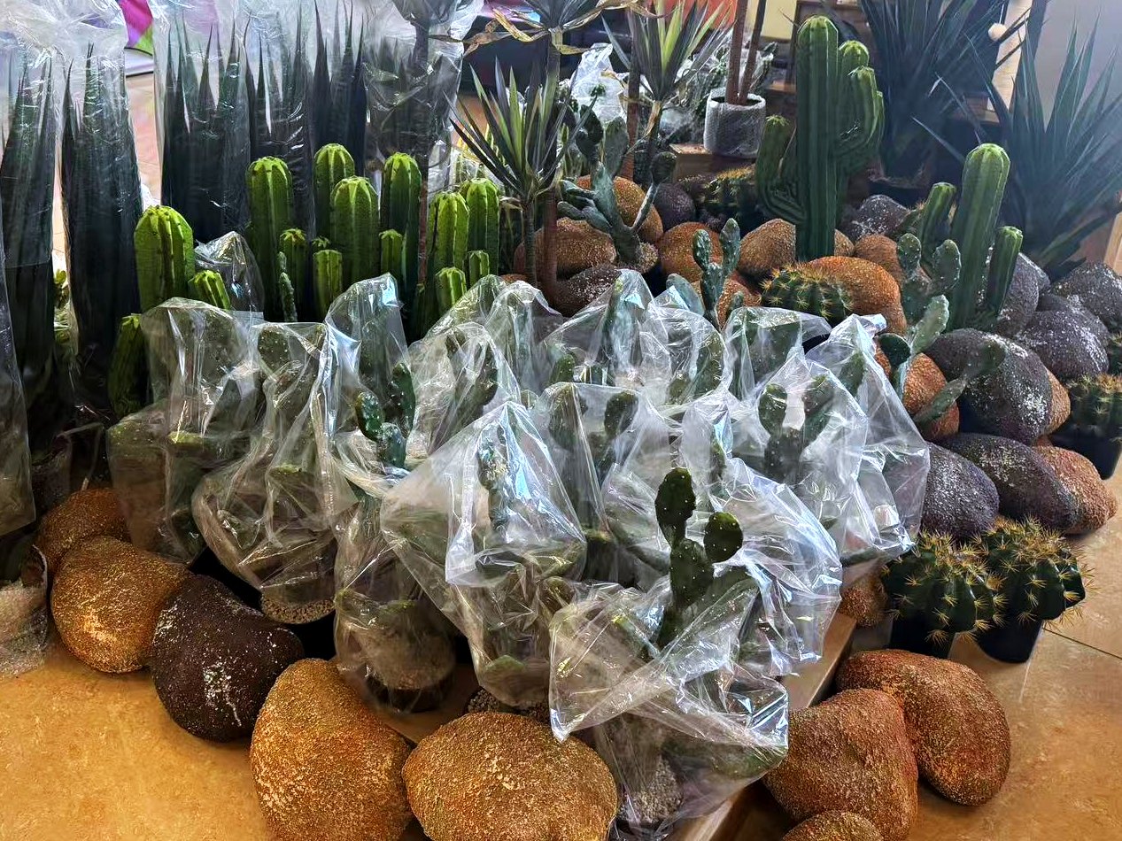 The artificial plant and decorative stone lot on the Cube-Age floor in Houston