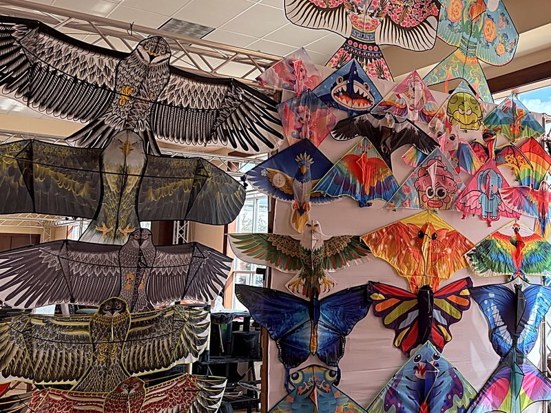 Printed kites hung open on a showroom wall