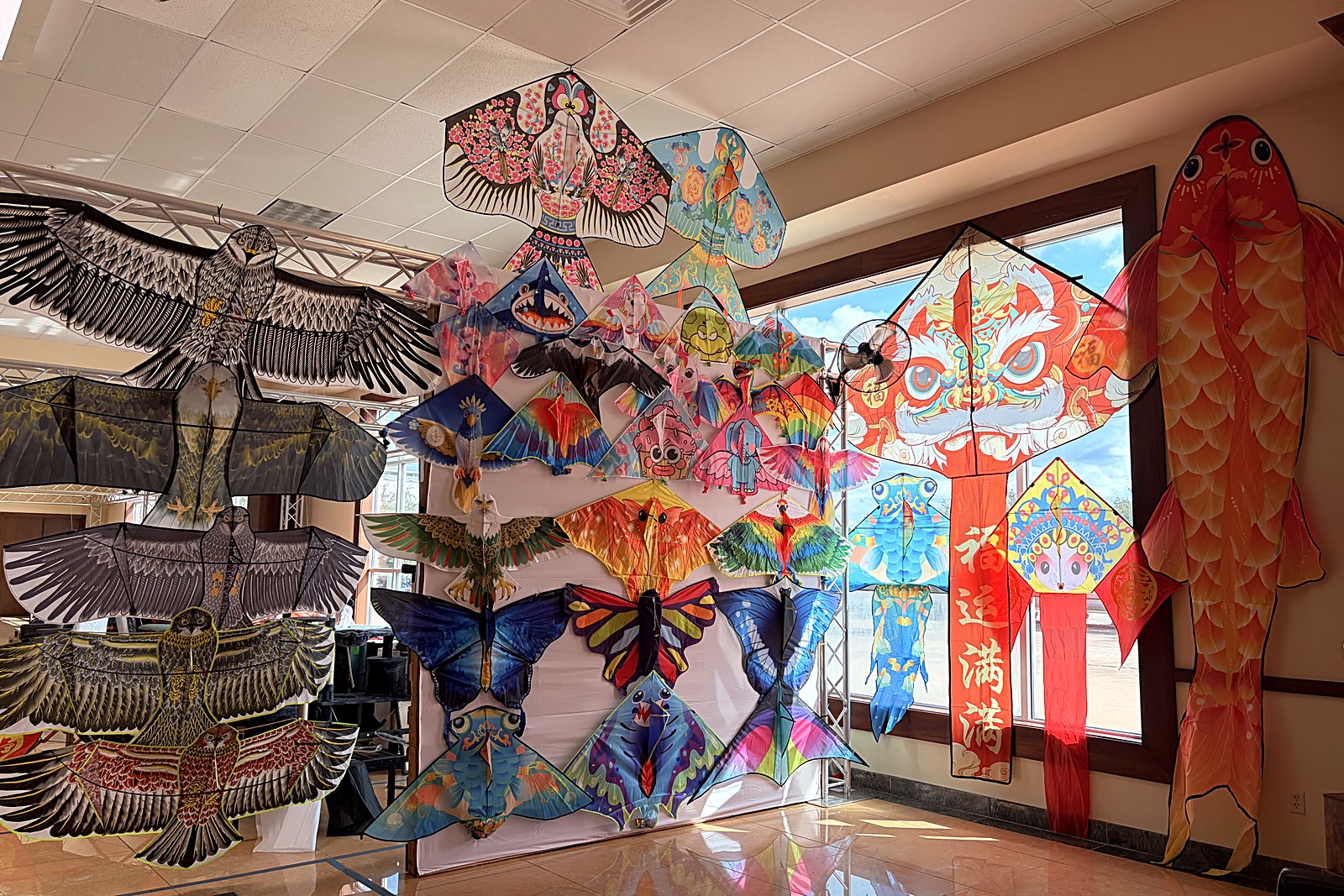 A wall of Cube-Age kites on display in the Houston permanent showroom, hung open so the printed sails are visible