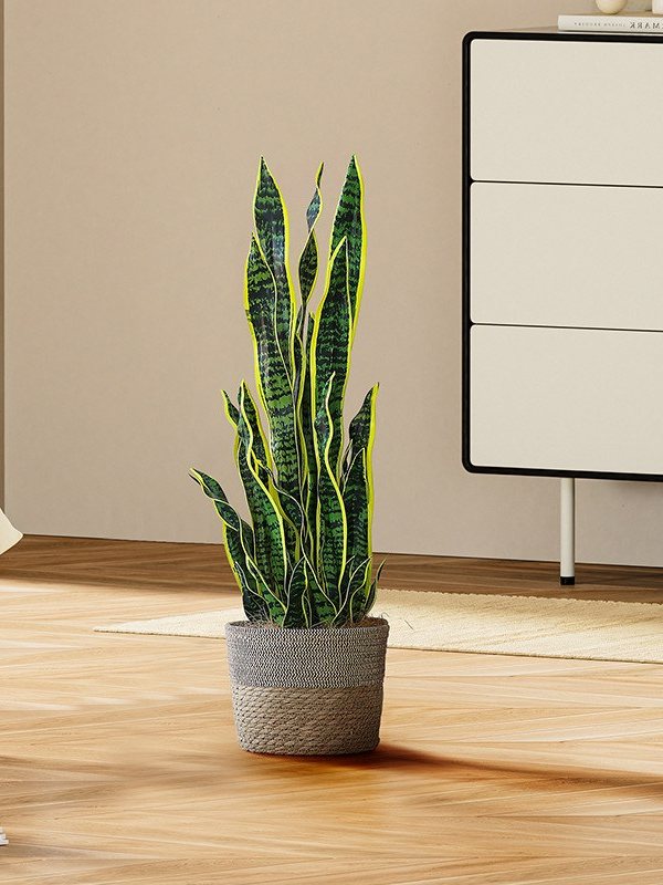 An artificial snake plant in a grey pot