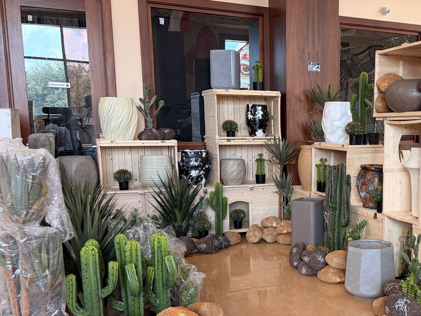 The finished planter and greenery zone in the Cube-Age showroom: cacti, agaves, pottery and stone on timber crates