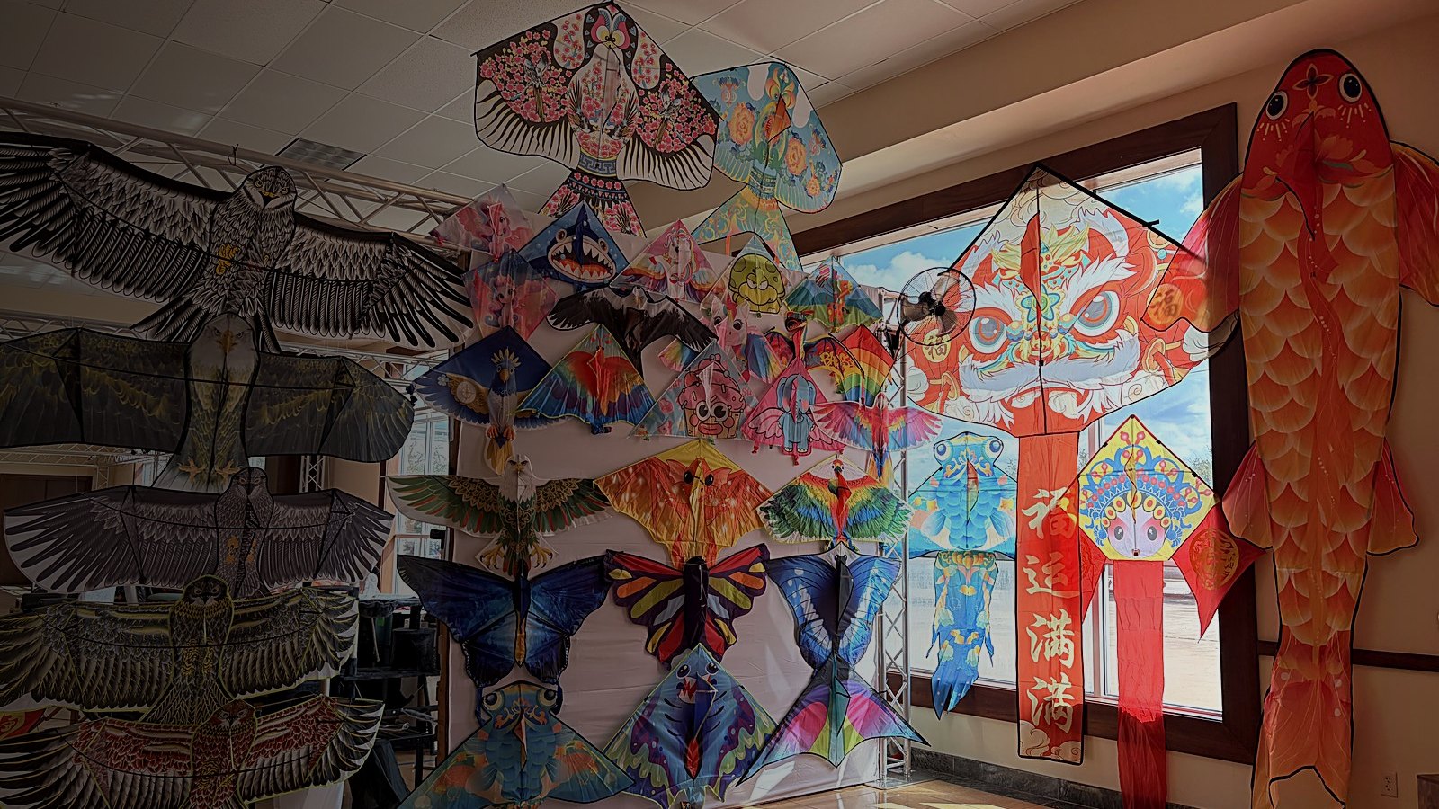 Kites hung across a showroom wall at our Houston hub